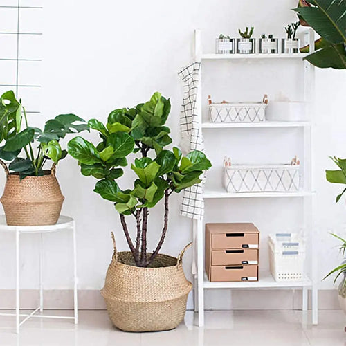 foldable rattan basket for storing flowers and accessories - vue 3 sur 14