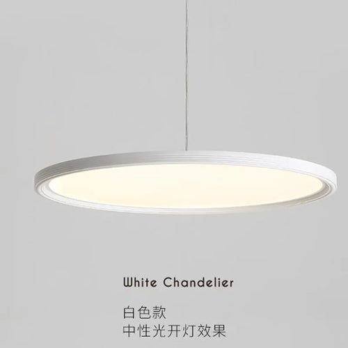 Modern pendant chandelier for restaurant, bar and café - vue 4 sur 9