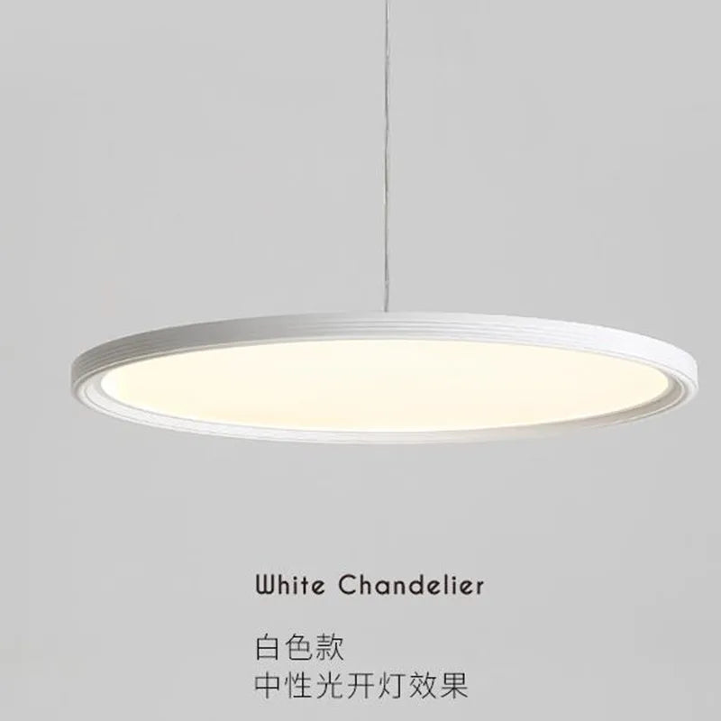 Modern pendant chandelier for restaurant, bar and café - vue 3 sur 9