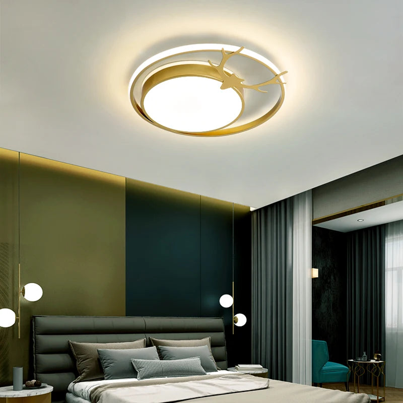 Modern decorative indoor ceiling light with LED lamps