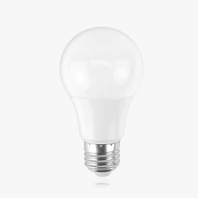 E14 LED bulb (3 to 20W)