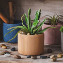 Striped silicone and concrete flowerpot mould
