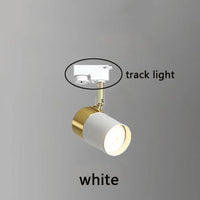 Track ceiling light with LED lighting