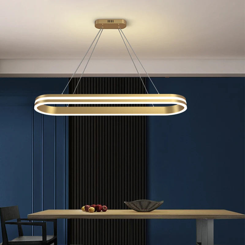 Modern and elegant indoor LED pendant light