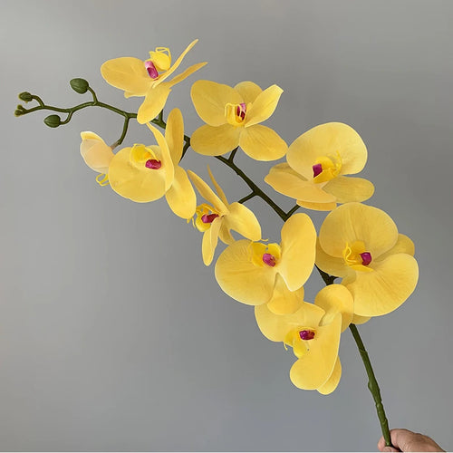 preserved phalaenopsis orchid artificial flowers for wedding decoration - vue 18 sur 17