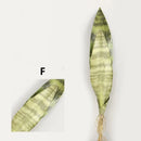 Artificial tiger leaf plants for indoor and garden decoration