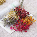 Autumn gypsophila branch for DIY wedding decoration