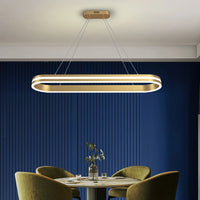 Modern and elegant indoor LED pendant light