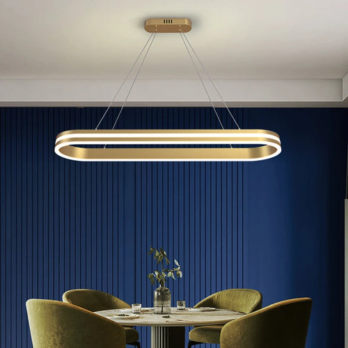 Modern and elegant indoor LED pendant light