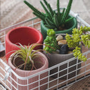 Striped silicone and concrete flowerpot mould