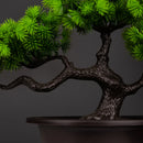 Artificial pine bonsai plants for indoor and outdoor decoration