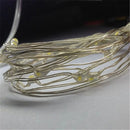 Decorative string lights with 100 LED and AA battery power