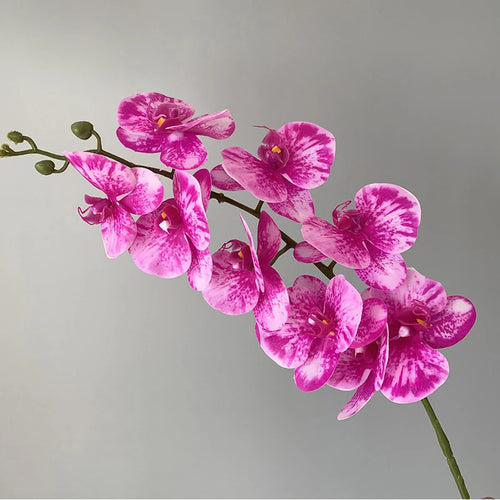 preserved phalaenopsis orchid artificial flowers for wedding decoration