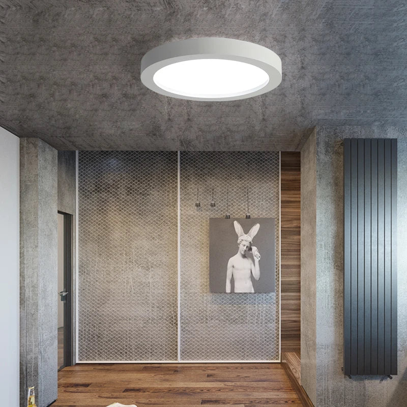 Modern dimmable LED iron ceiling light for indoor use - vue 5 sur 6
