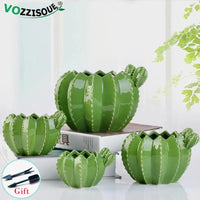 Creative ceramic pots for decorative cacti and bonsai