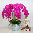 preserved phalaenopsis orchid artificial flowers for wedding decoration