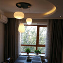 Retro glass globe pendant light gzmj with shade