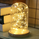 Set of 10 cork LED bottle string lights for decoration and DIY