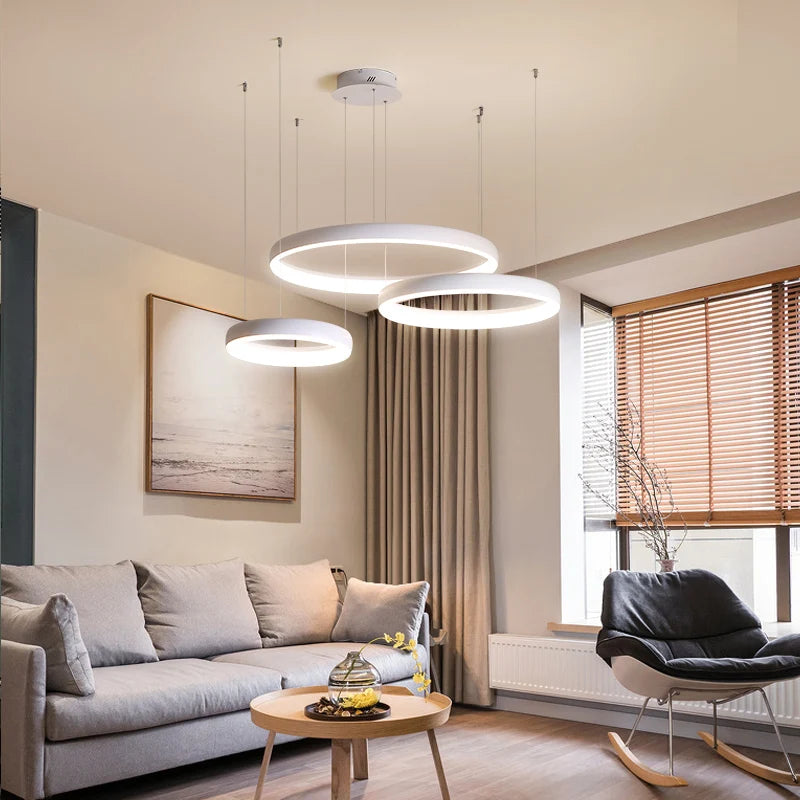 Modern LED pendant light for interior and commercial decoration - vue 5 sur 6