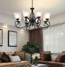 Traditional chandelier with glass and metal shade