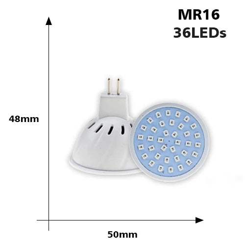 Full spectrum LED grow bulb for houseplants and hydroponics - vue 15 sur 15