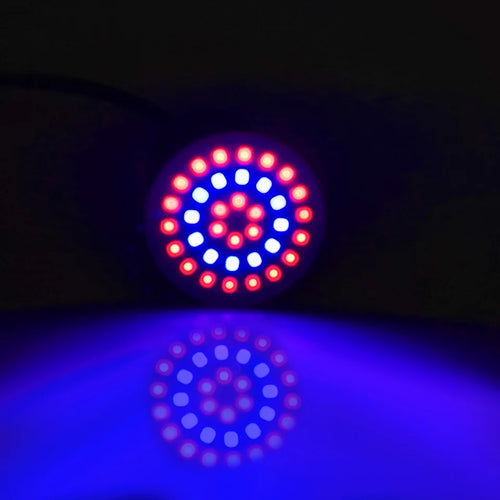 Full spectrum LED grow bulb for houseplants and hydroponics - vue 10 sur 15