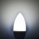 High brightness LED bulb cold and warm light
