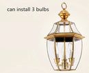 Retro copper pendant light for indoor and outdoor lighting