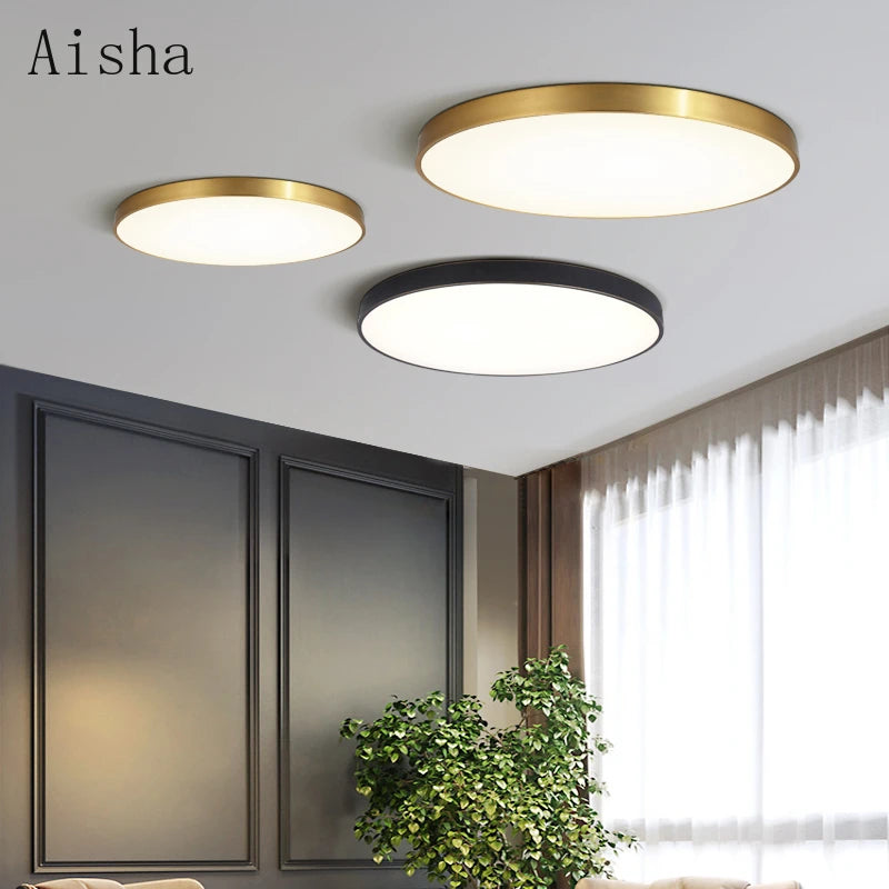 Modern creative Nordic-style ceiling light for indoor lighting