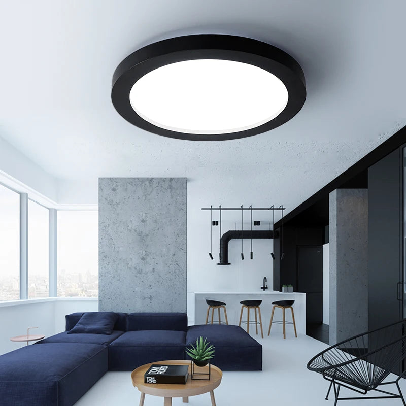 Modern dimmable LED iron ceiling light for indoor use - vue 3 sur 6