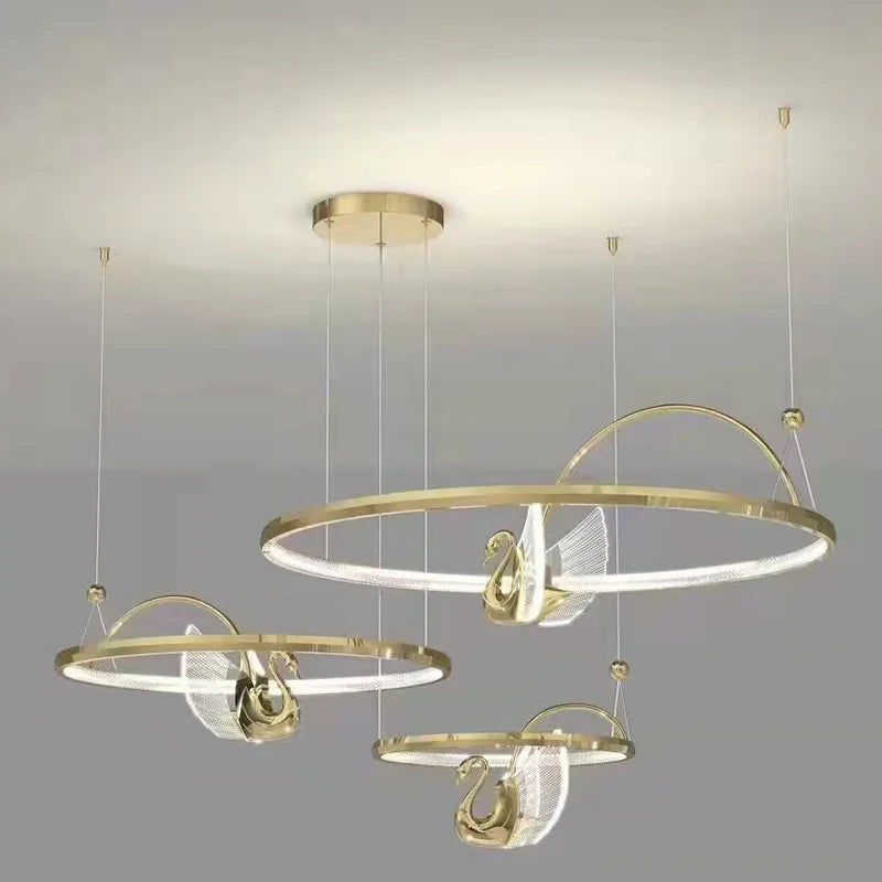 Modern designer pendant light for elegant and creative interiors
