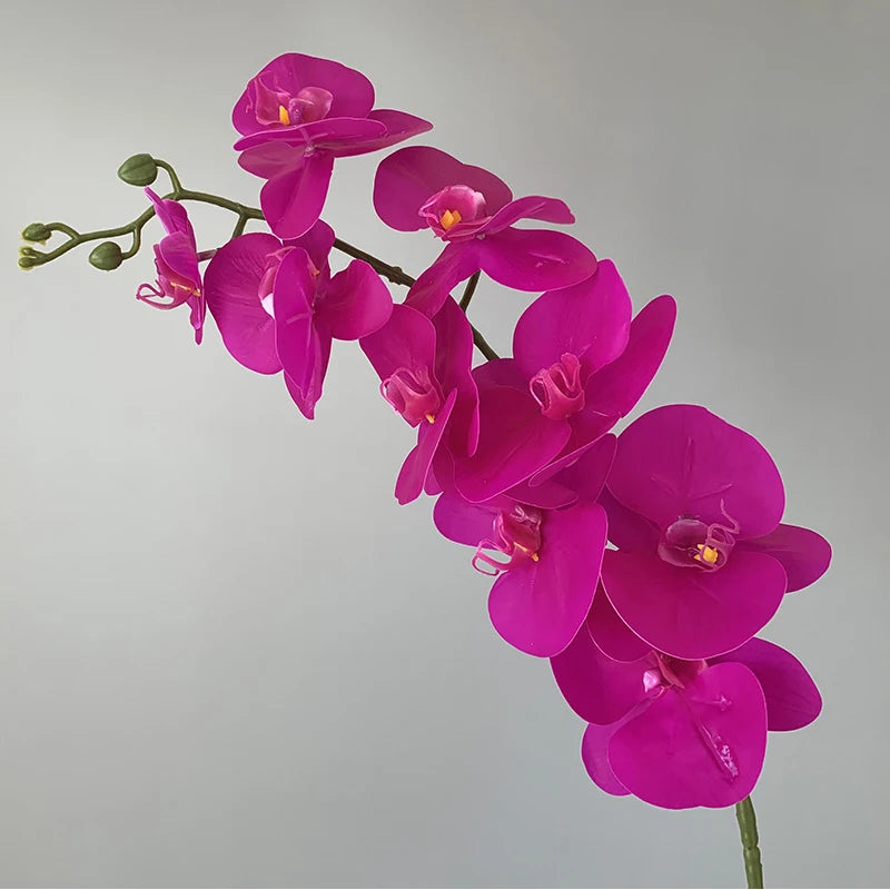 preserved phalaenopsis orchid artificial flowers for wedding decoration - vue 16 sur 17
