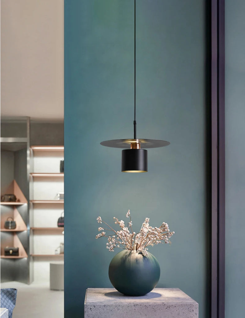Modern decorative iron LED pendant light