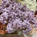 Decorative fabric artificial flowers for weddings and events