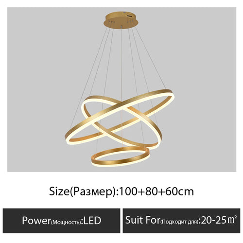 Modern chandelier for decorative indoor suspended lighting - vue 15 sur 18