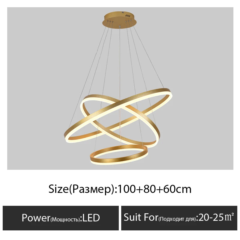 Modern chandelier for decorative indoor suspended lighting - vue 15 sur 18