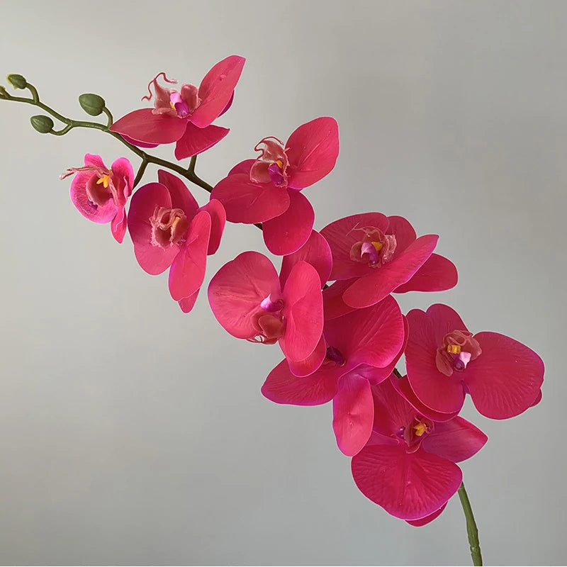 preserved phalaenopsis orchid artificial flowers for wedding decoration - vue 13 sur 17