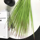 Artificial tropical plants for indoor and outdoor decoration