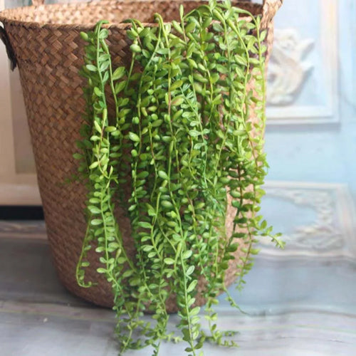 Artificial succulent plants for rattan wall decoration - vue 2 sur 7