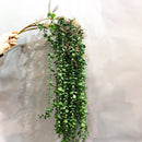 Artificial eucalyptus rattan plants for wall and outdoor decoration