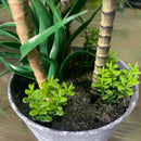 Artificial tropical cactus for desk decoration