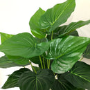 Artificial tropical monstera plant for indoor and outdoor decoration