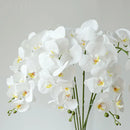 preserved phalaenopsis orchid artificial flowers for wedding decoration