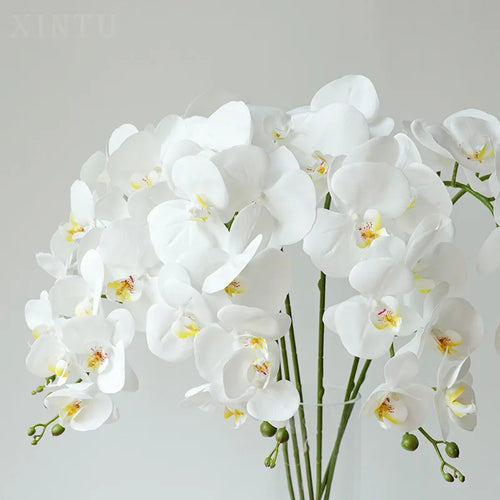 preserved phalaenopsis orchid artificial flowers for wedding decoration - vue 5 sur 17