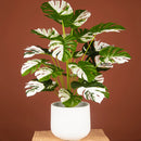 Large artificial tropical plant for indoor and outdoor decoration