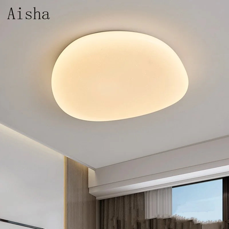 Creative modern acrylic ceiling light with decorative LED lighting