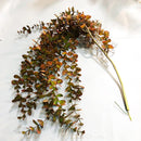 Artificial eucalyptus rattan plants for indoor and outdoor decoration