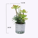 Artificial tropical cactus for desk decoration