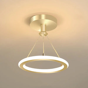 Modern round LED ceiling light for elegant interiors