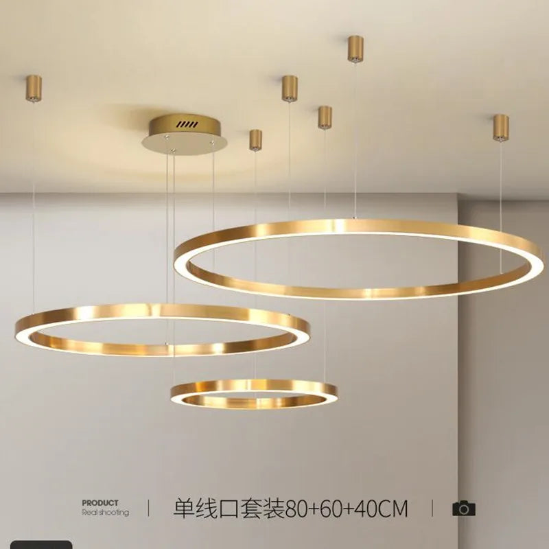 Modern brushed LED chandelier with luminous ring